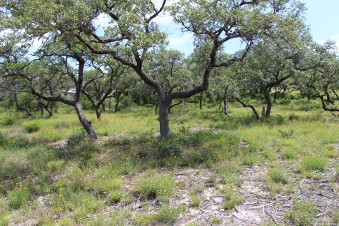 Lot 52 Clear Water Canyon Helotes TX 78023