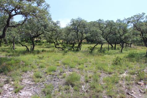 Lot 52 Clear Water Canyon Helotes TX 78023