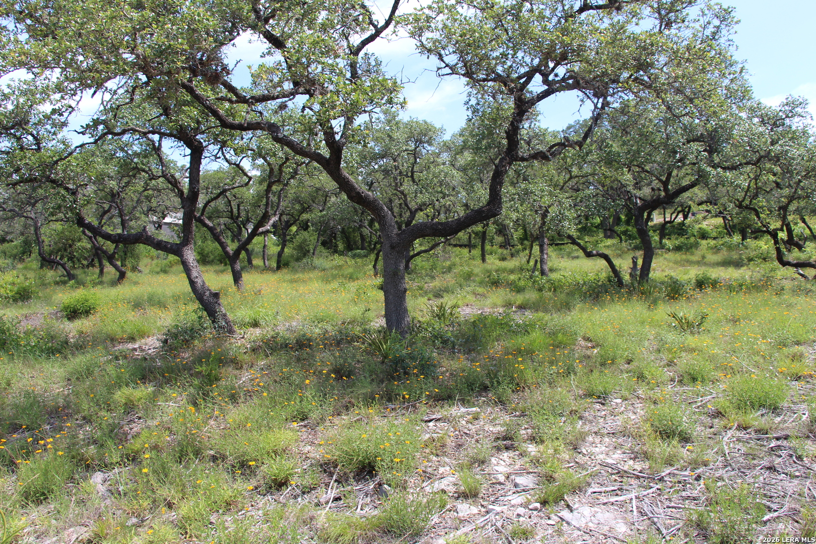 Lot 52 Clear Water Canyon Helotes TX 78023