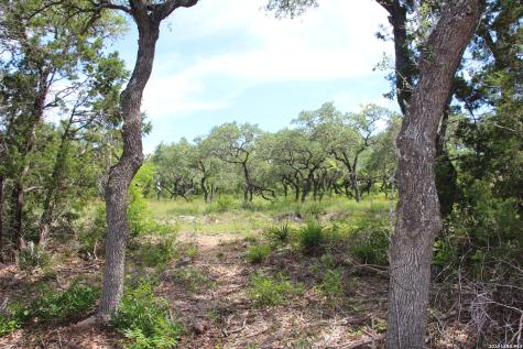 Lot 52 Clear Water Canyon Helotes TX 78023