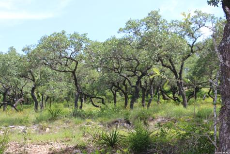 Lot 52 Clear Water Canyon Helotes TX 78023