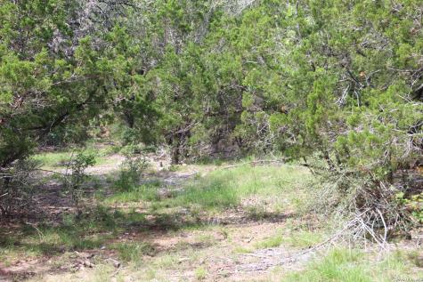 Lot 52 Clear Water Canyon Helotes TX 78023