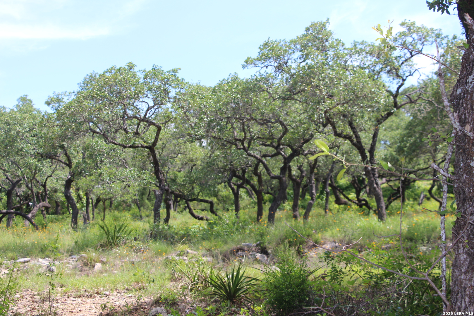 Lot 52 Clear Water Canyon Helotes TX 78023