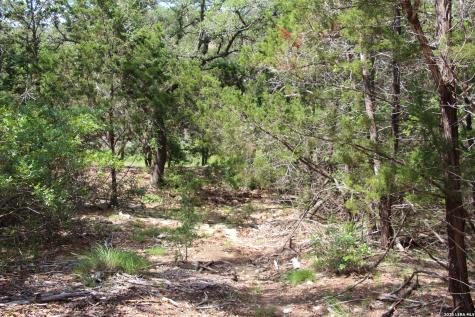 Lot 52 Clear Water Canyon Helotes TX 78023