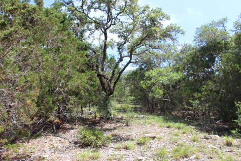 Lot 52 Clear Water Canyon Helotes TX 78023