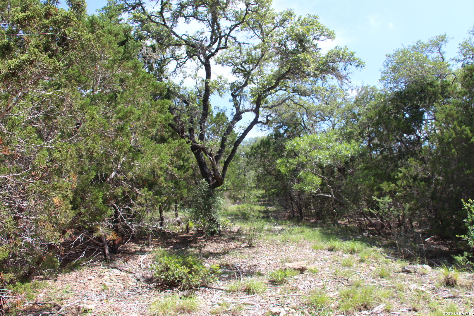 Lot 52 Clear Water Canyon Helotes TX 78023