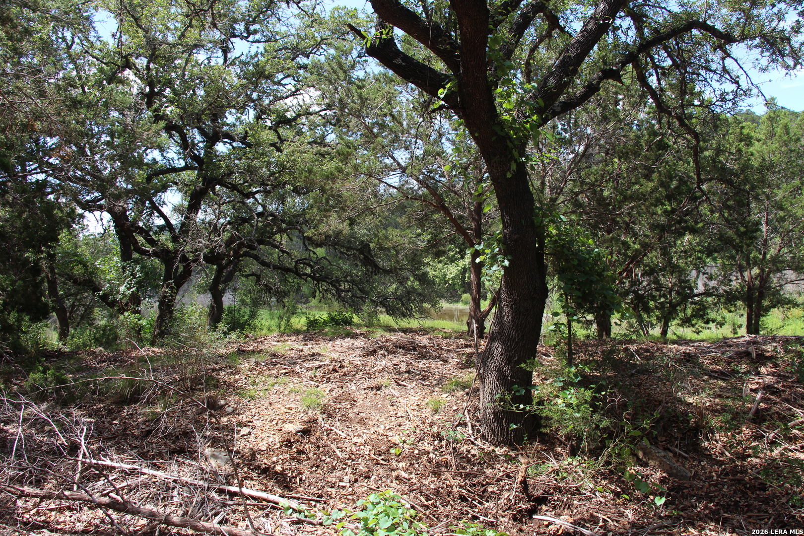 Lot 52 Clear Water Canyon Helotes TX 78023