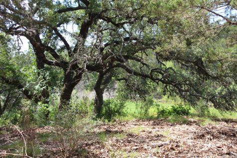 Lot 52 Clear Water Canyon Helotes TX 78023
