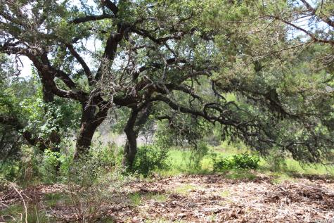 Lot 52 Clear Water Canyon Helotes TX 78023