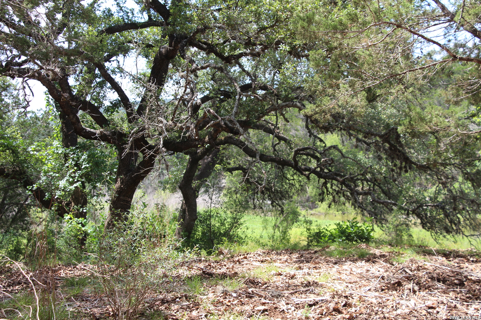 Lot 52 Clear Water Canyon Helotes TX 78023