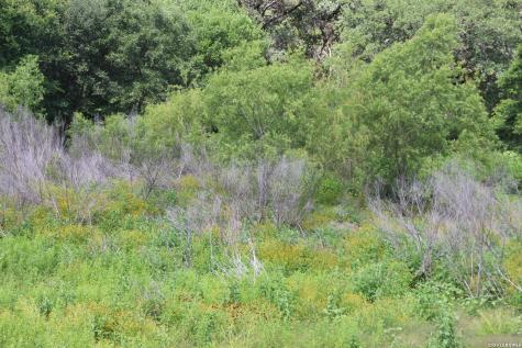 Lot 52 Clear Water Canyon Helotes TX 78023