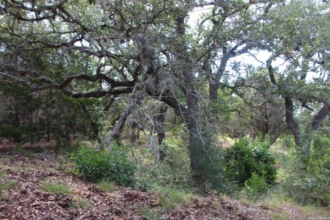 Lot 52 Clear Water Canyon Helotes TX 78023