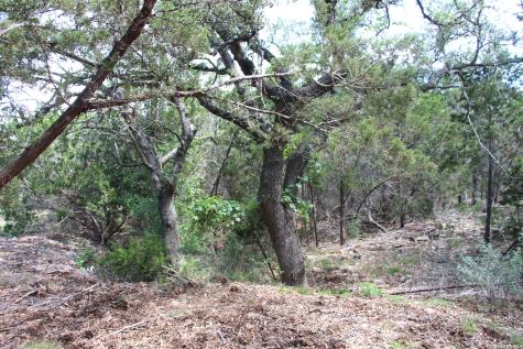 Lot 52 Clear Water Canyon Helotes TX 78023