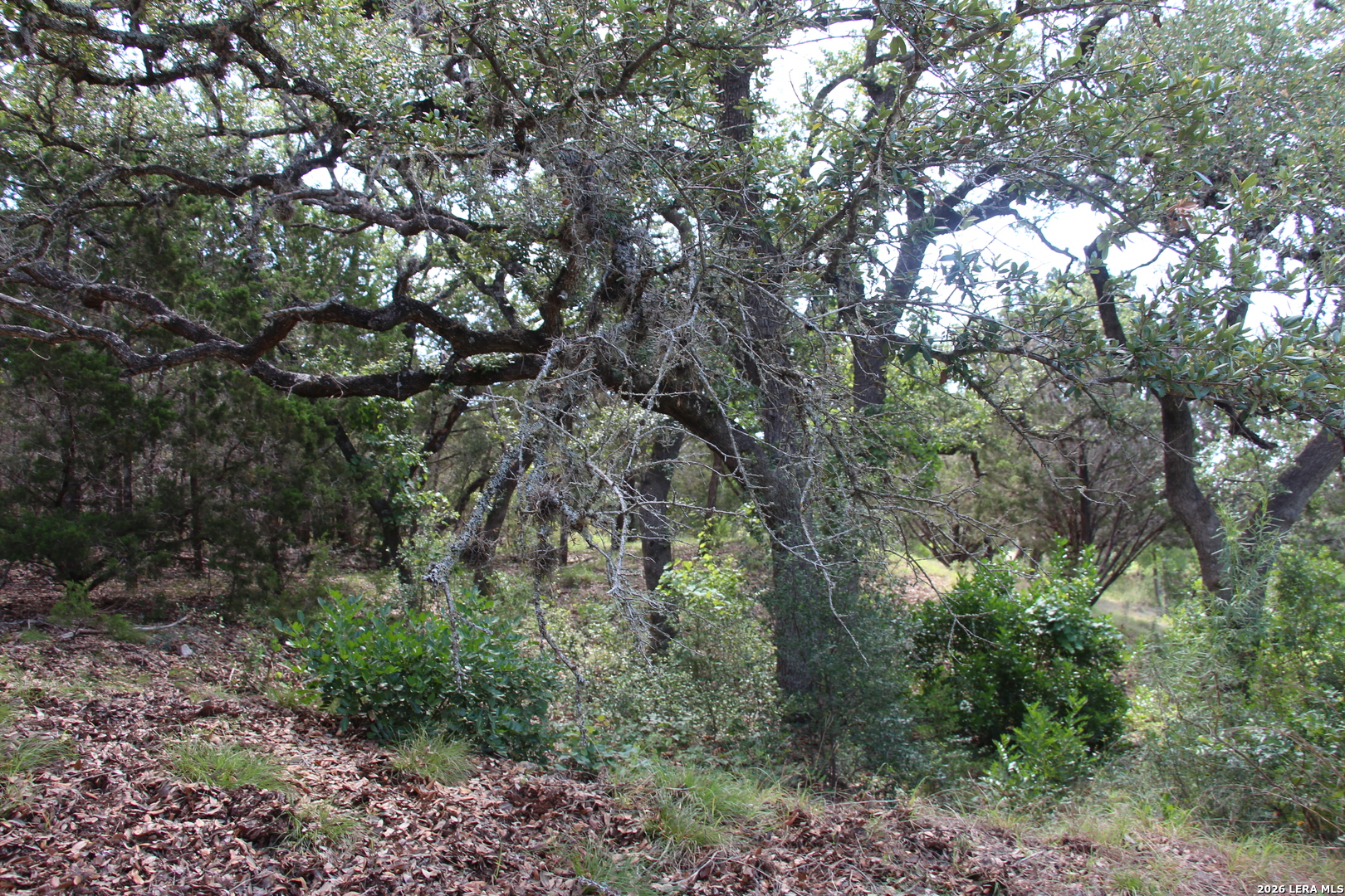 Lot 52 Clear Water Canyon Helotes TX 78023