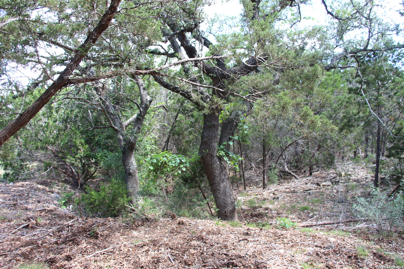 Lot 52 Clear Water Canyon Helotes TX 78023