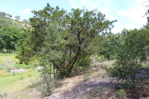 Lot 52 Clear Water Canyon Helotes TX 78023