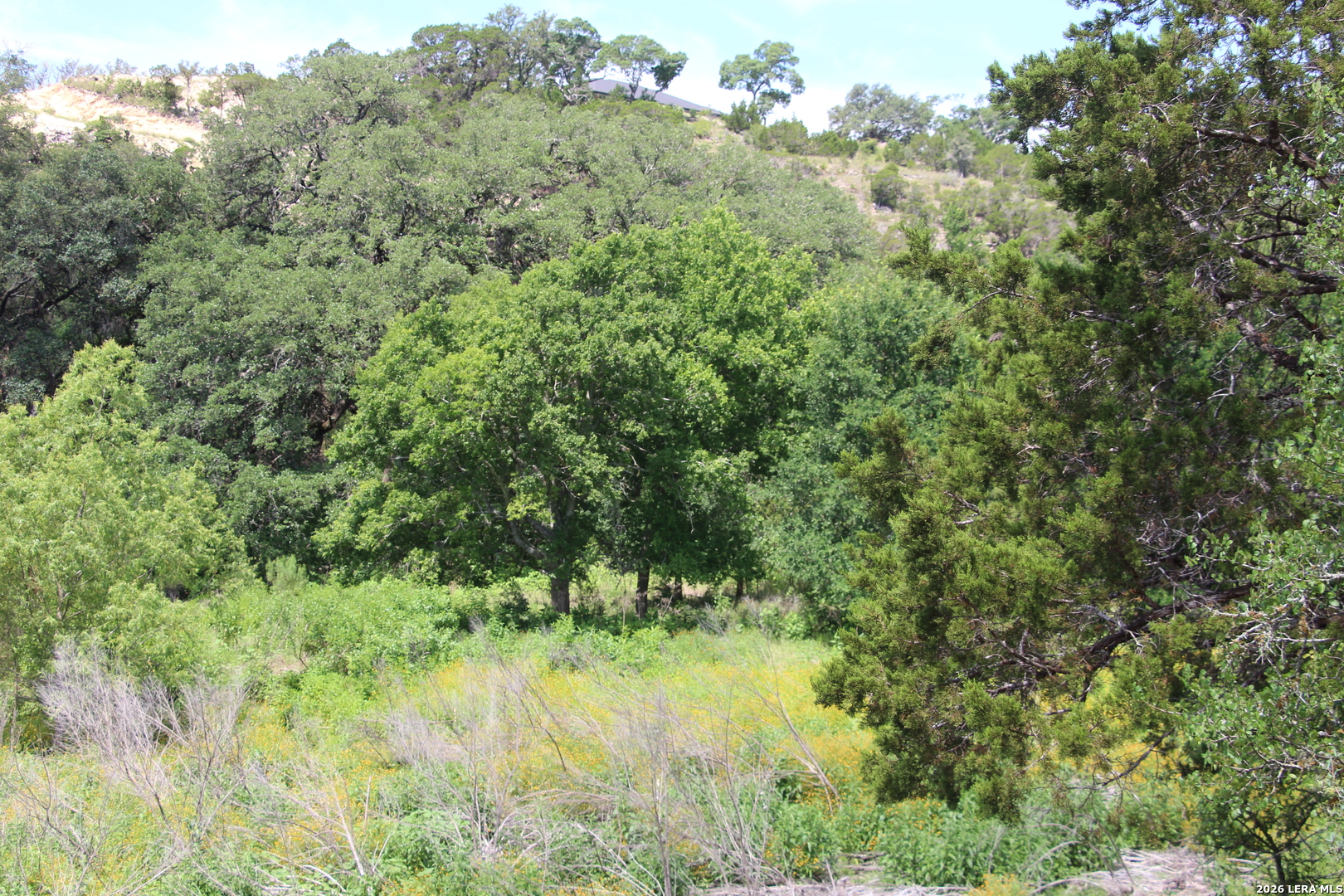 Lot 52 Clear Water Canyon Helotes TX 78023