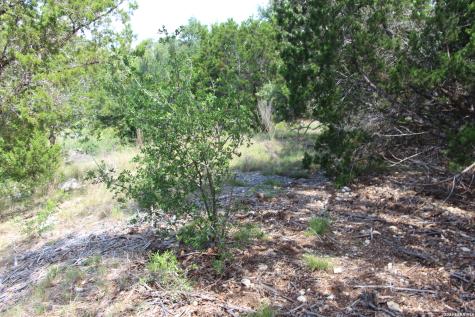 Lot 52 Clear Water Canyon Helotes TX 78023