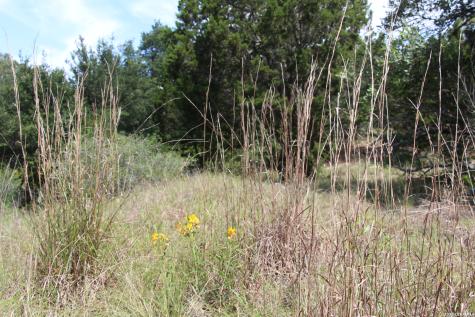 Lot 52 Clear Water Canyon Helotes TX 78023