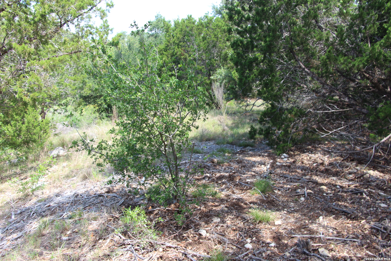 Lot 52 Clear Water Canyon Helotes TX 78023