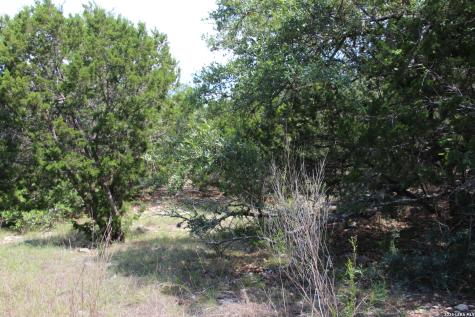Lot 52 Clear Water Canyon Helotes TX 78023
