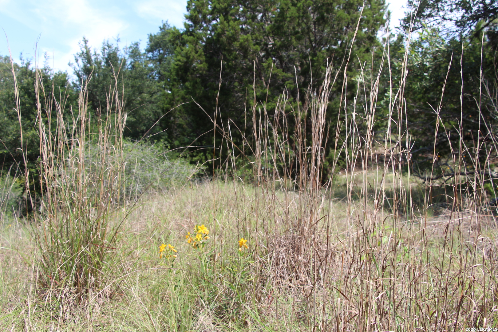 Lot 52 Clear Water Canyon Helotes TX 78023