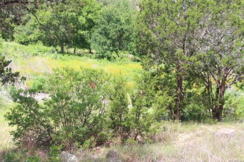 Lot 52 Clear Water Canyon Helotes TX 78023