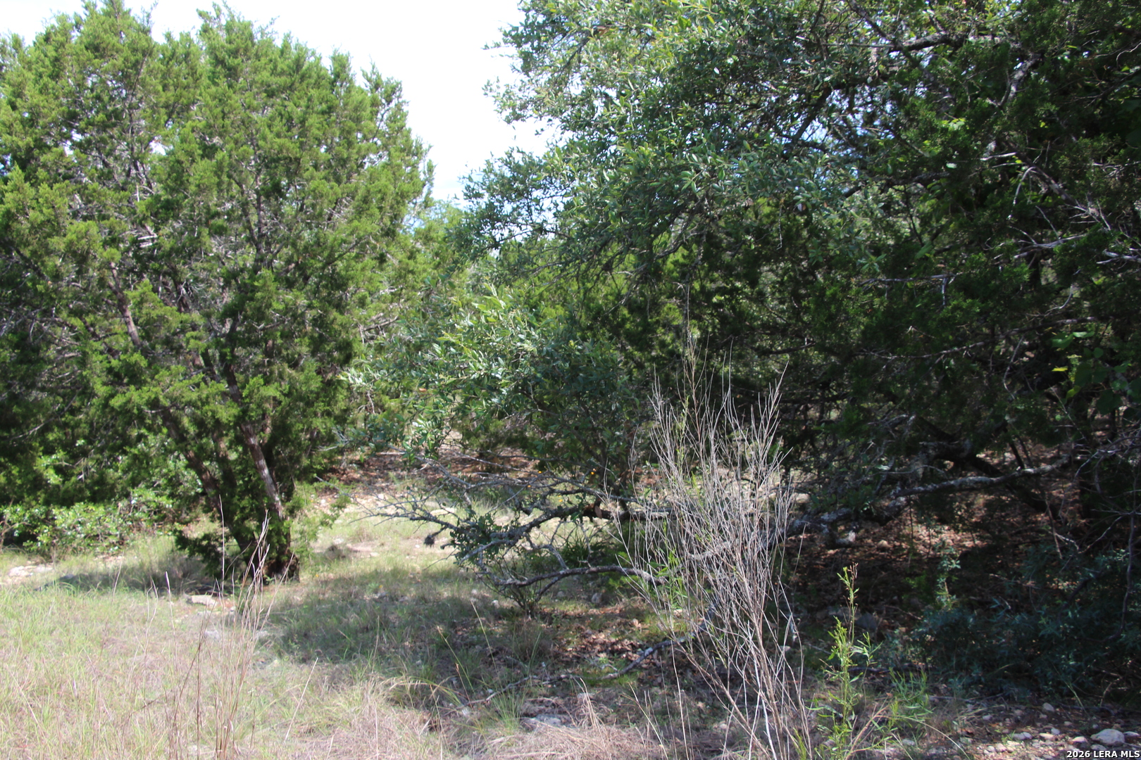 Lot 52 Clear Water Canyon Helotes TX 78023