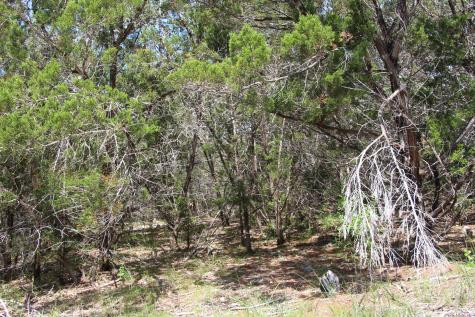 Lot 52 Clear Water Canyon Helotes TX 78023