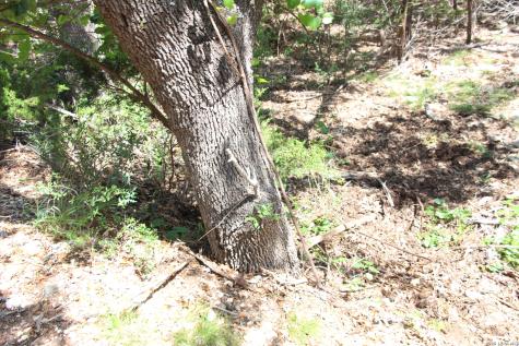 Lot 52 Clear Water Canyon Helotes TX 78023