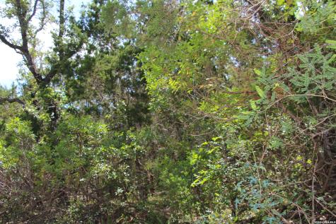 Lot 52 Clear Water Canyon Helotes TX 78023