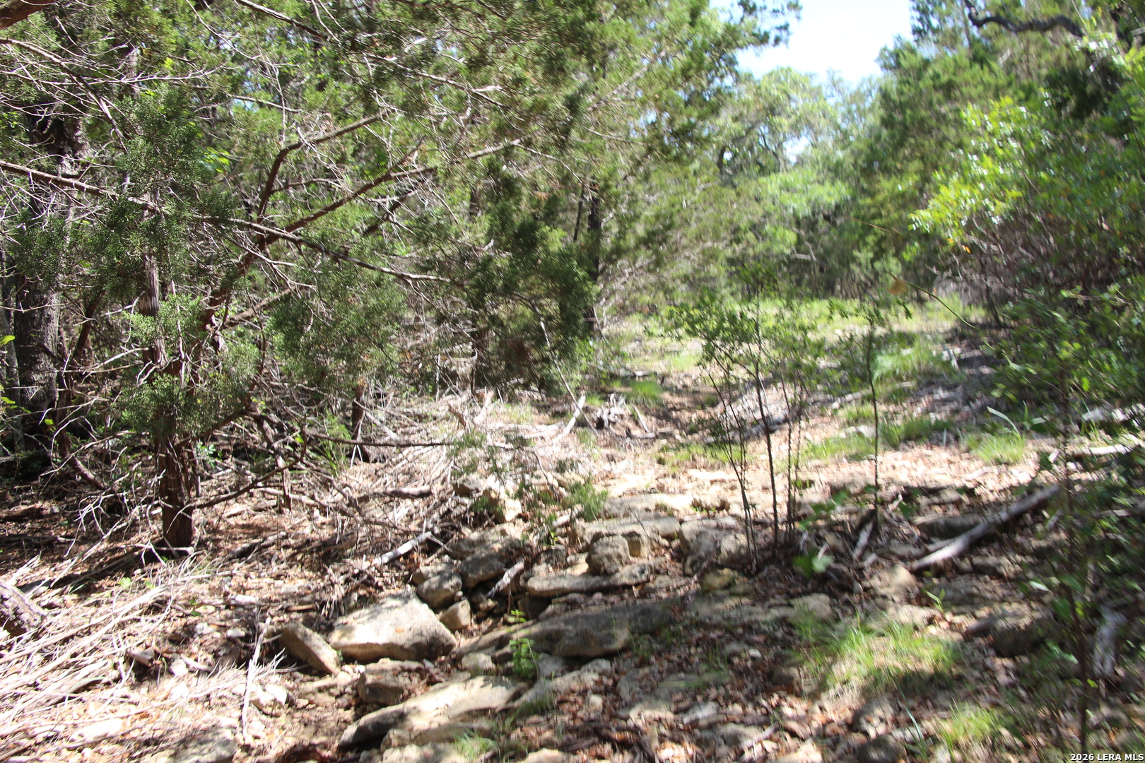 Lot 52 Clear Water Canyon Helotes TX 78023