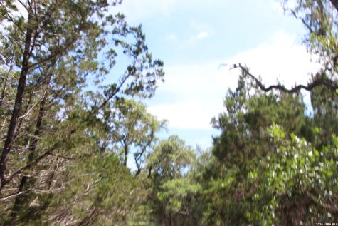 Lot 52 Clear Water Canyon Helotes TX 78023