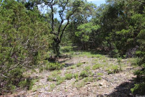 Lot 52 Clear Water Canyon Helotes TX 78023