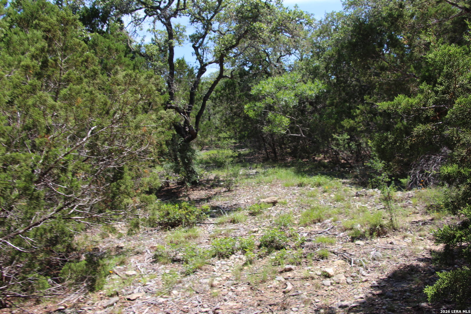Lot 52 Clear Water Canyon Helotes TX 78023