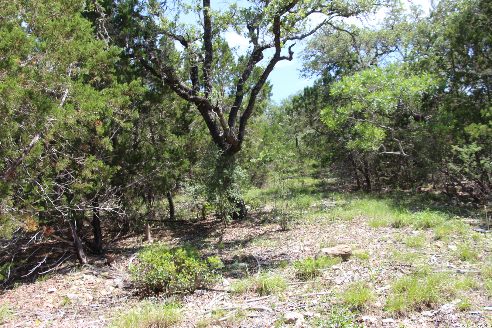 Lot 52 Clear Water Canyon Helotes TX 78023