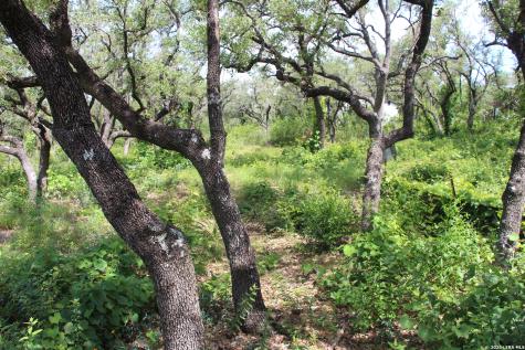 Lot 52 Clear Water Canyon Helotes TX 78023