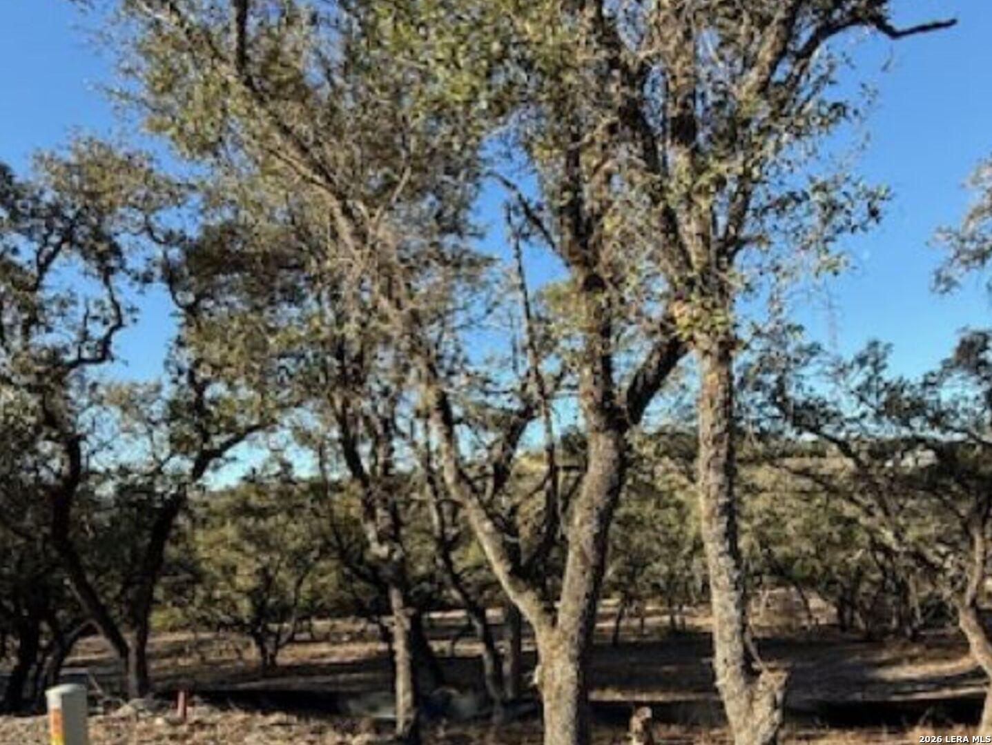 Lot 52 Clear Water Canyon Helotes TX 78023