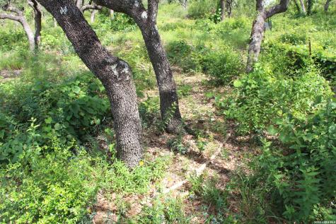 Lot 52 Clear Water Canyon Helotes TX 78023