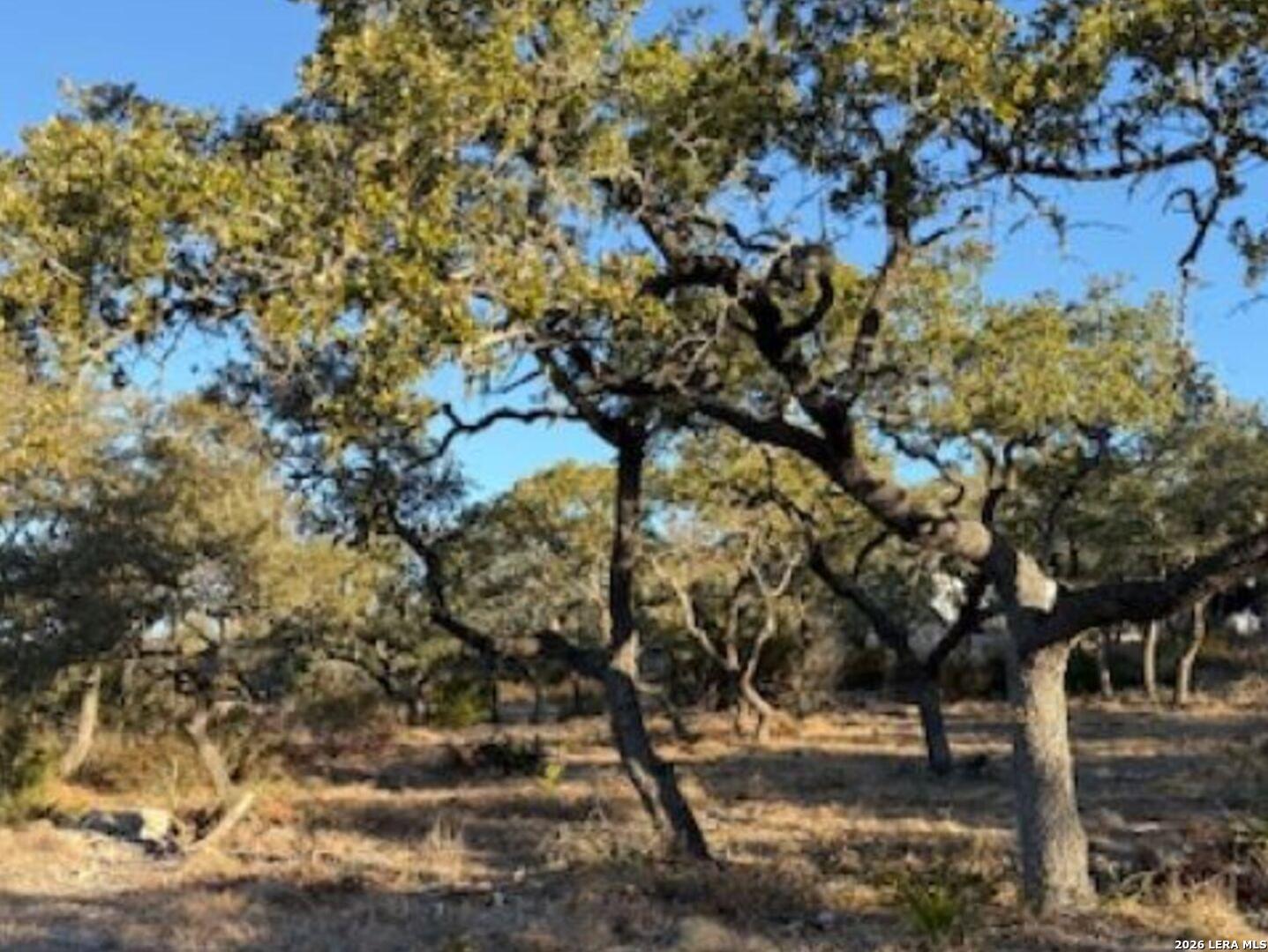 Lot 52 Clear Water Canyon Helotes TX 78023