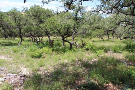 Lot 52 Clear Water Canyon Helotes TX 78023