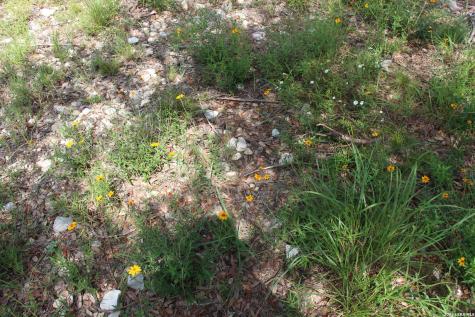 Lot 52 Clear Water Canyon Helotes TX 78023