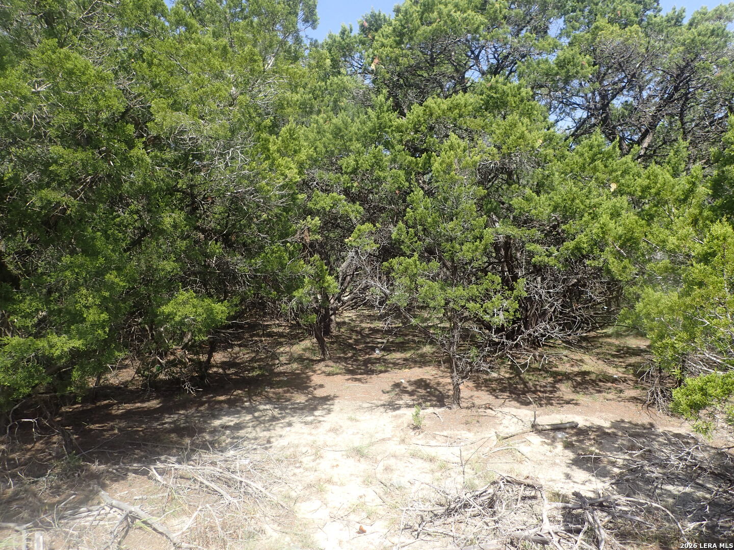 17 Mississippi Lakehills TX 78063