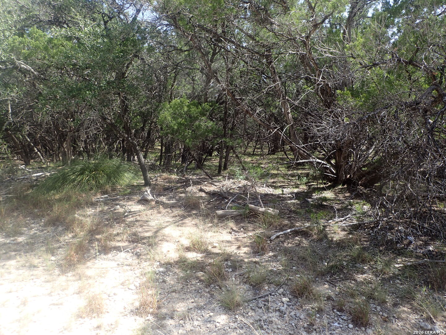 17 Mississippi Lakehills TX 78063