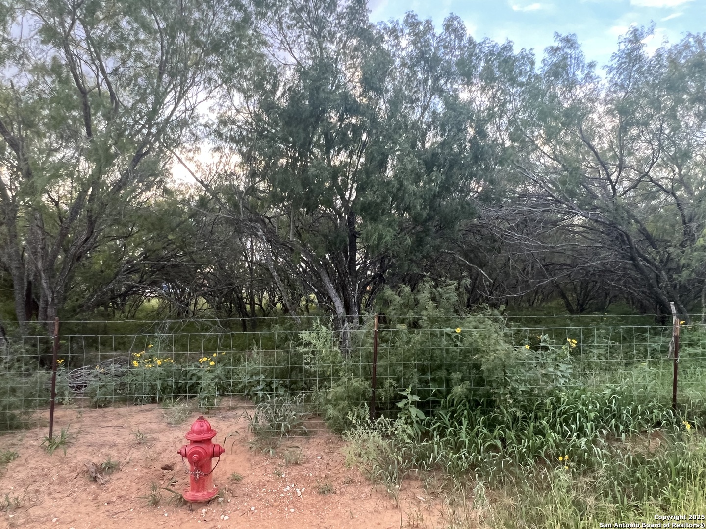 10477 Briggs Atascosa TX 78002