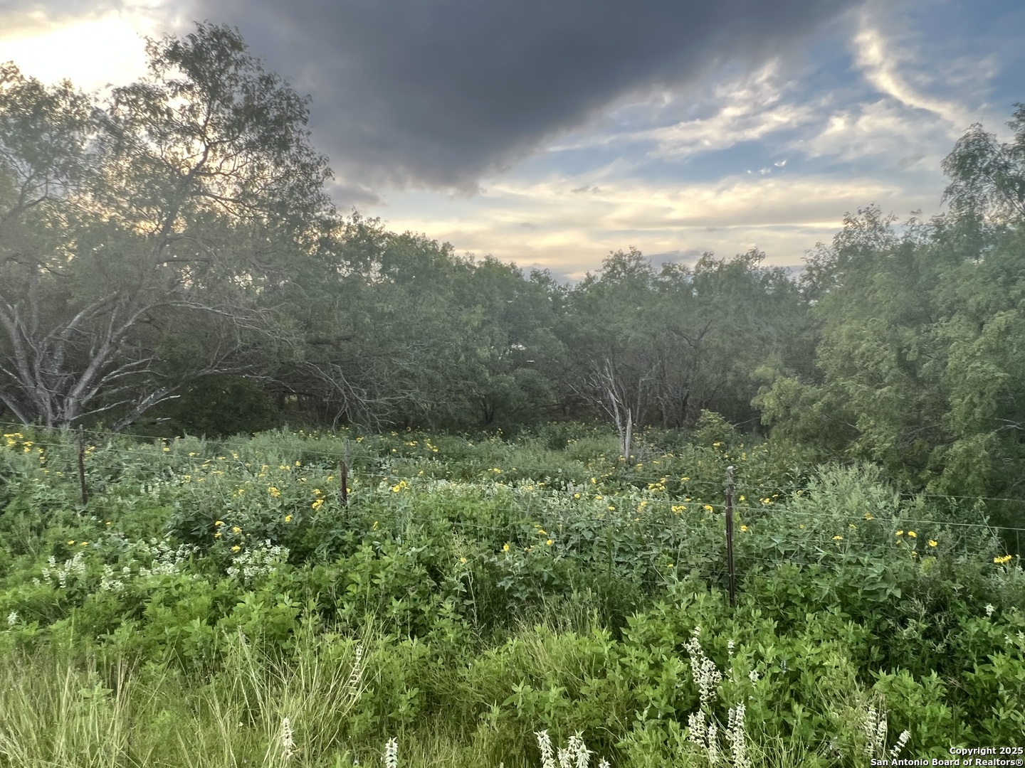 10477 Briggs Atascosa TX 78002