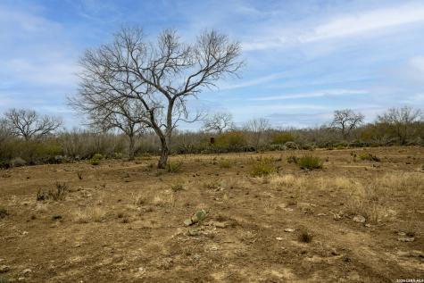 2410 San Miguel Tract #1 Moore TX 78057