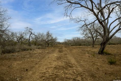 2410 San Miguel Tract #1 Moore TX 78057
