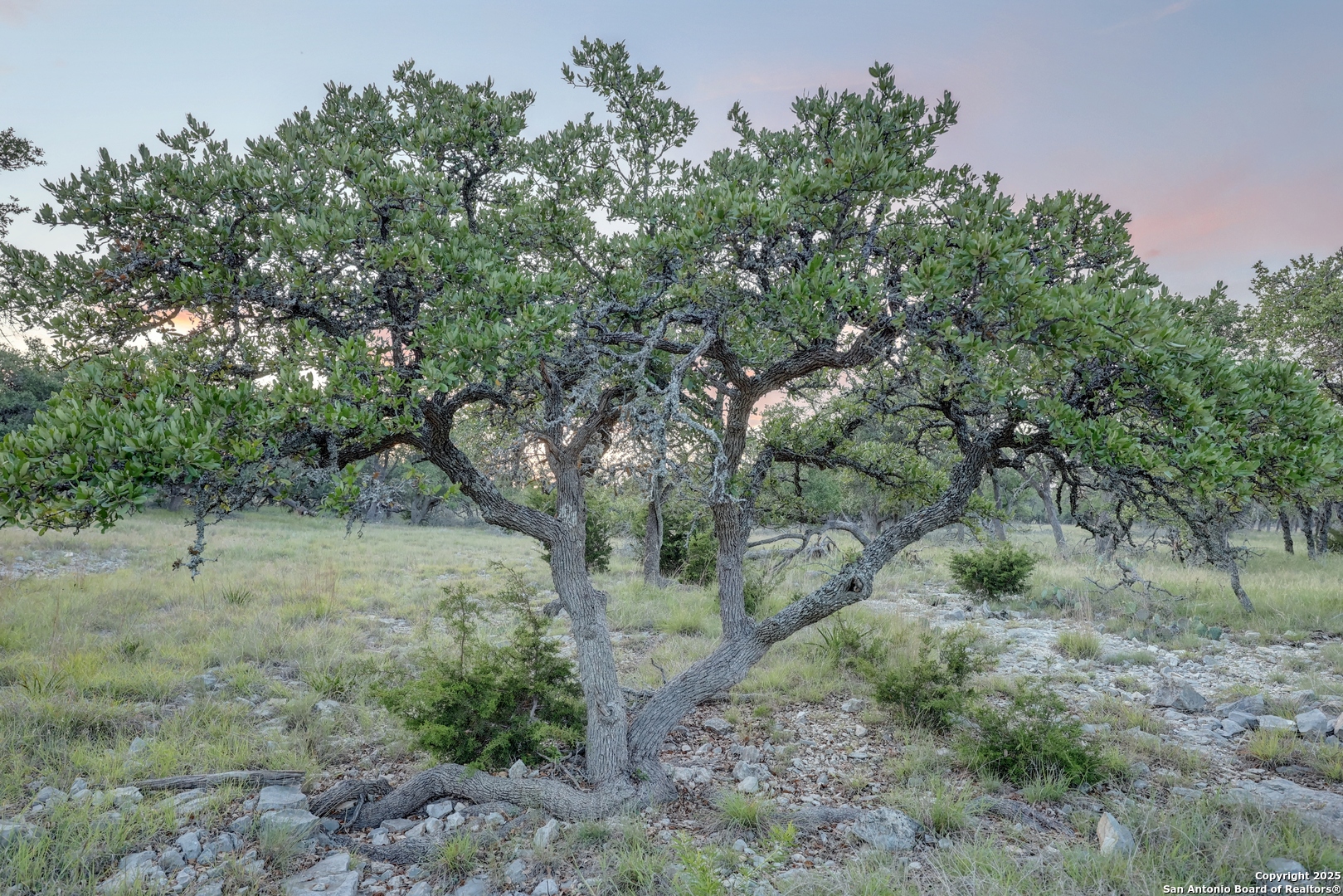 0 Stevens Ranch Road Harper TX 78631