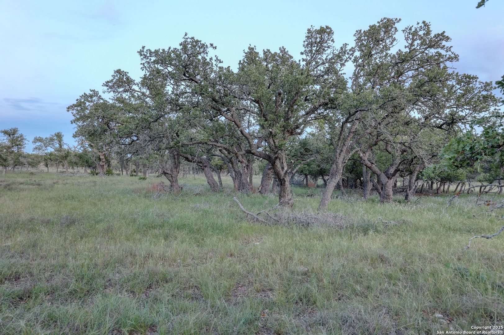 0 Stevens Ranch Road Harper TX 78631